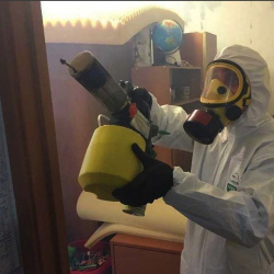 Уничтожение клопов в квартире. Данков
